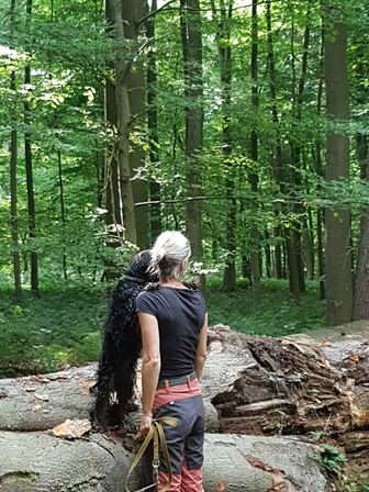 En sous-bois, un cocker noir se dresse contre l'éducatrice, qui lui fait face, dos à l'objectif, la longe détendue à la main.