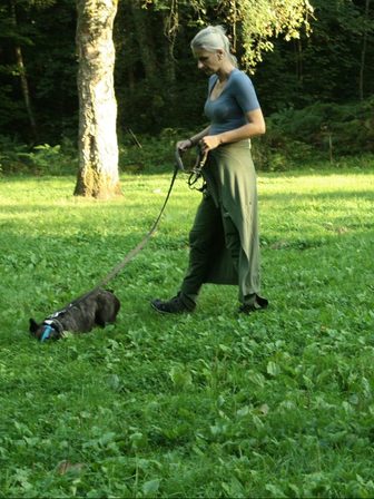 L'éducatrice traverse la prairie, la longe détendue, pendant qu'un bouledogue français muselé avance truffe au sol devant elle.